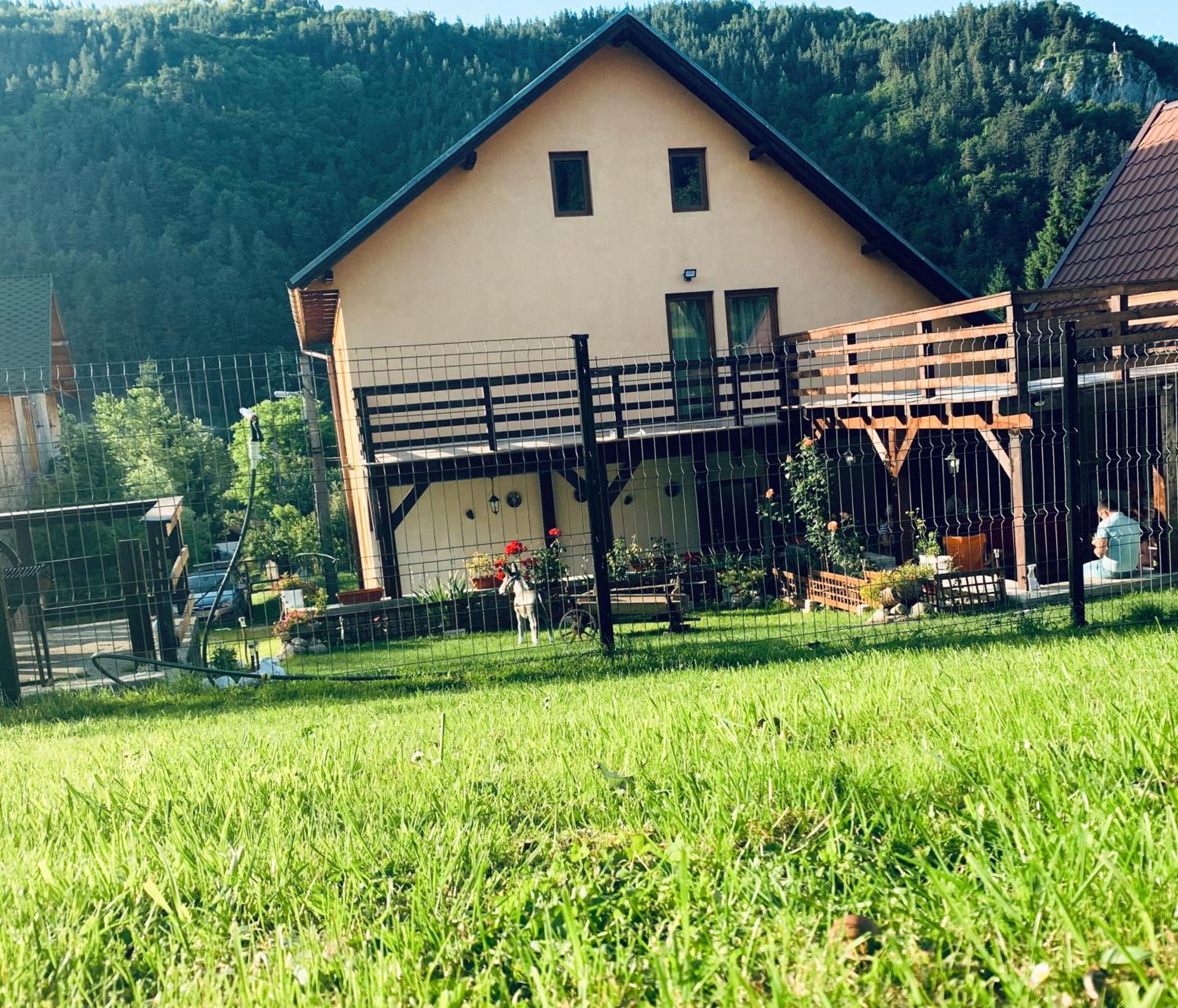 Hilltop House Bran  Exterior foto